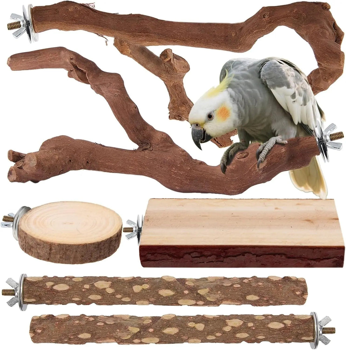 Why Natural Wood Perches are the Best Upgrade for Your Bird's Cage (and Foot Health)