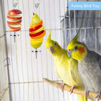 Hanging bird fruit skewers on cage bars with colorful fruit slice holders