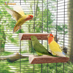 Wood bird perch in cage with three small parrots perched together.