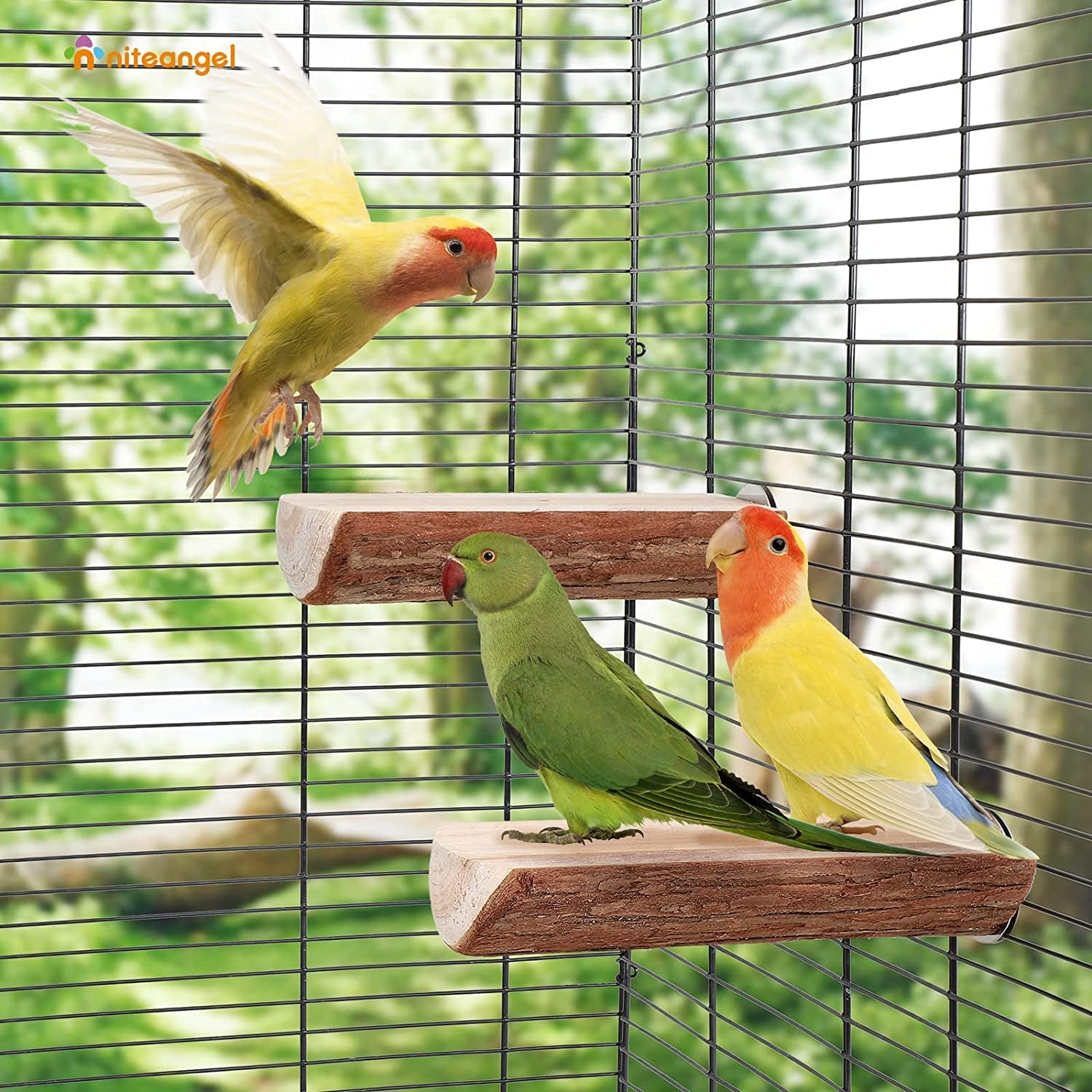 Wood bird perch in cage with three small parrots perched together.