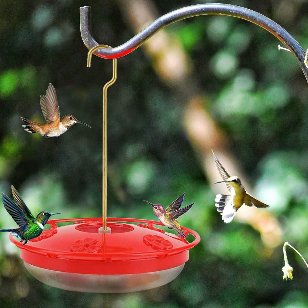 Red hummingbird dish feeder with brass hook and clear reservoir, multiple hummingbirds feeding