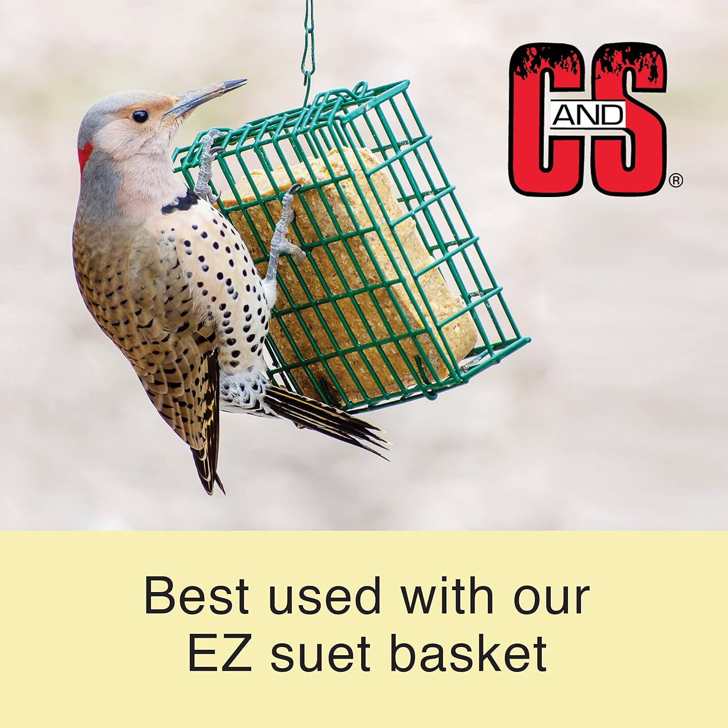 Wild bird suet cake in a hanging metal suet basket, with a woodpecker nearby