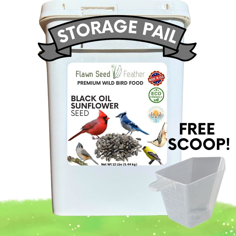 White bucket of black oil sunflower wild bird seed with storage pail and scoop