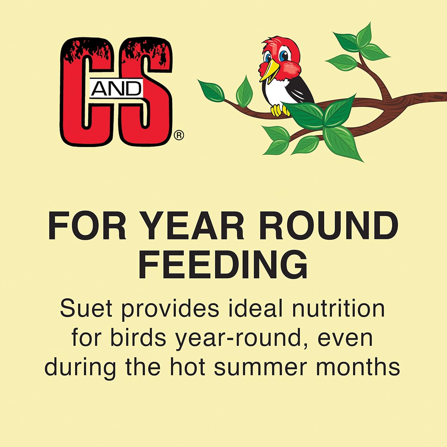 C&S bird suet for year-round feeding graphic with illustrated bird and leaves