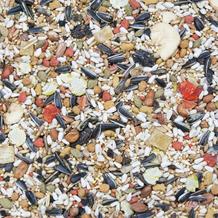 Conure & lovebird seed mix with sunflower, millet, and shell pieces