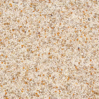 Light tan finch seed blend grains in close-up