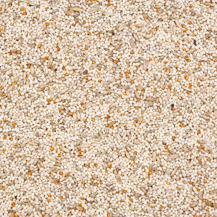 Light tan finch seed blend grains in close-up