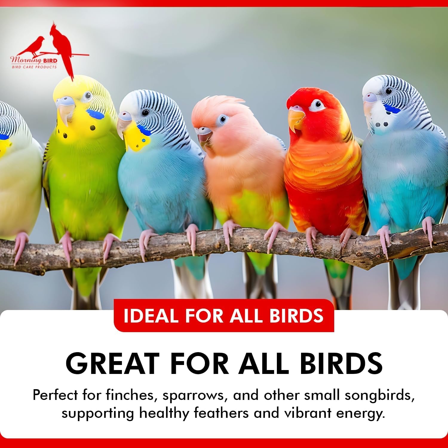 Liquid iodine supplement bottle with dropper, shown among colorful pet birds