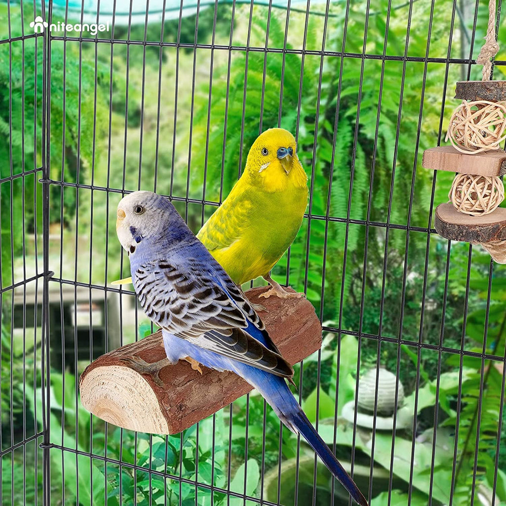 Wood bird perch in cage with two colorful parrots perched together.