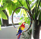 Colorful braided rope bird swing ring with metal hook and parrot perched