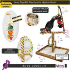 Bird playgym activity stand with cotton perch, colorful rope loops, and stainless steel cup
