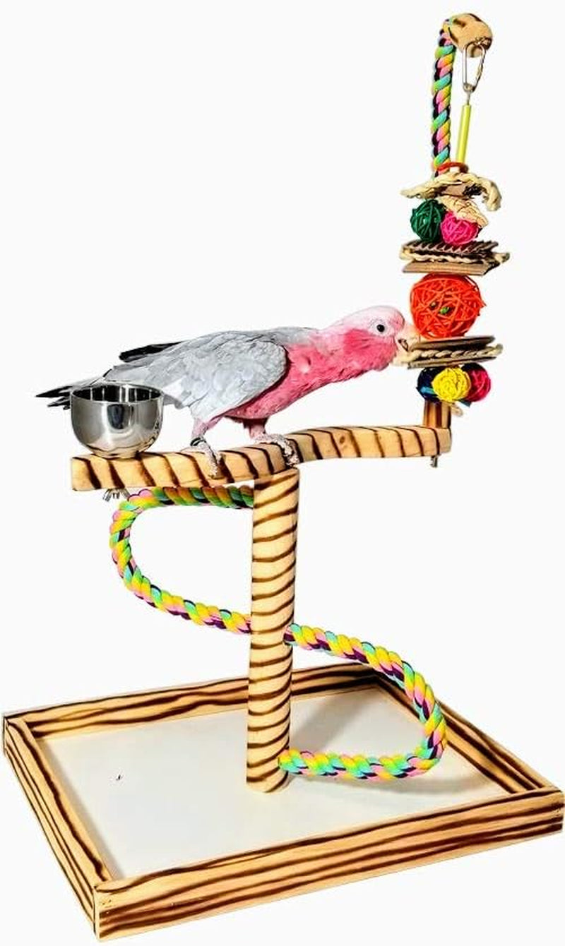 Tabletop bird playgym with rope perches, stacked toys, and stainless steel drinking cup