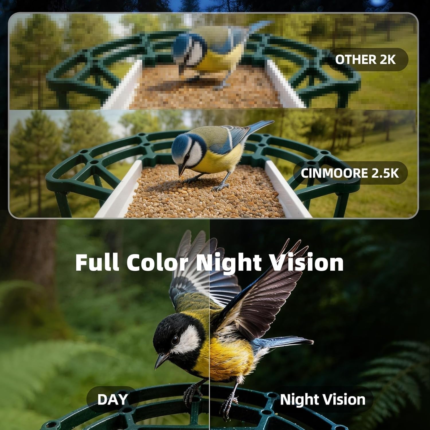 Green bird feeder camera view featuring a perched bird with day and night vision