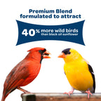 Premium blend graphic showing two songbirds and claim for 40% more wild birds