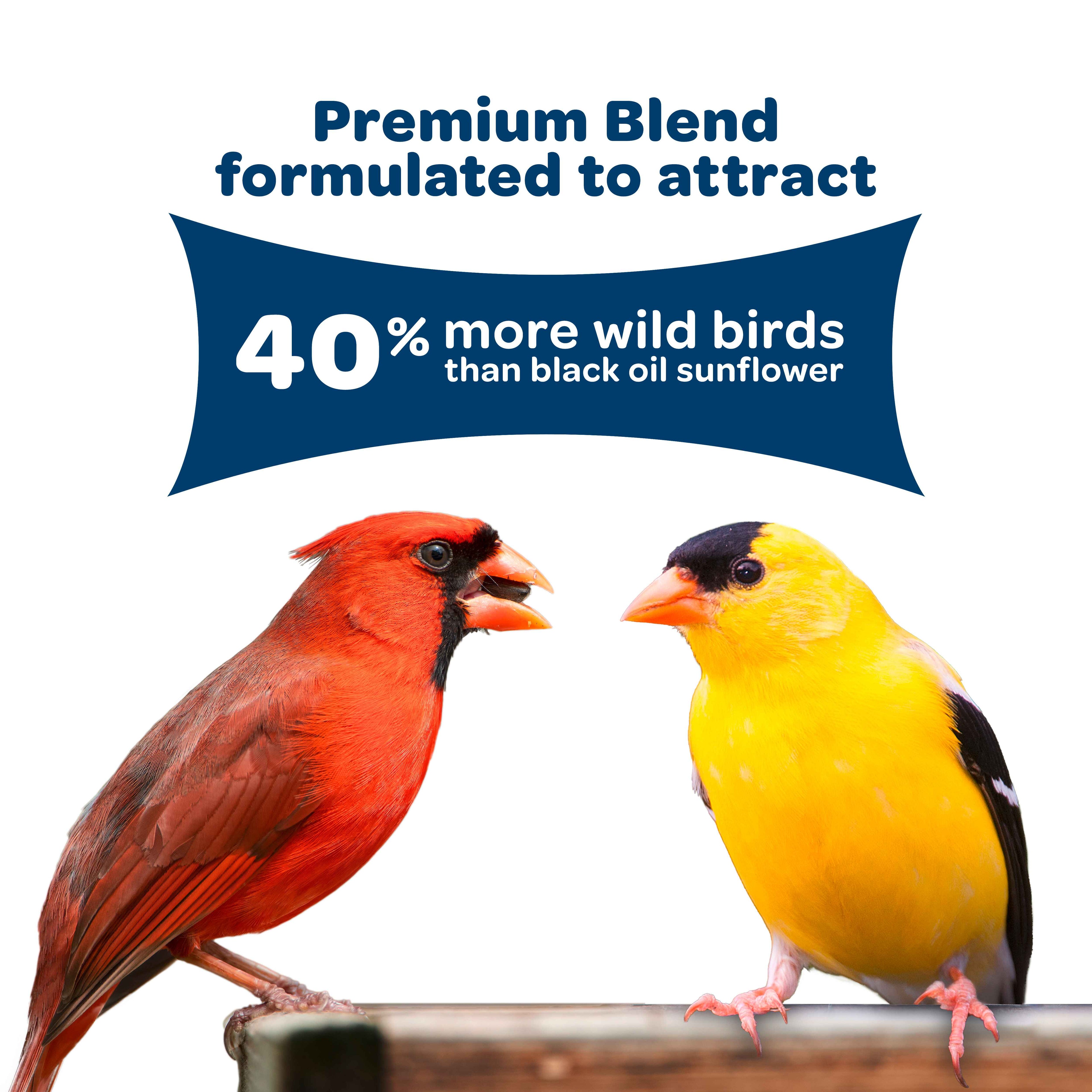 Premium blend graphic showing two songbirds and claim for 40% more wild birds