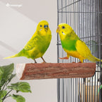 Wooden bird perch in cage with two bright yellow-green budgies.