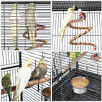 Indoor-style parrot cage with multiple perches, hanging rope toy, and feeding bowls