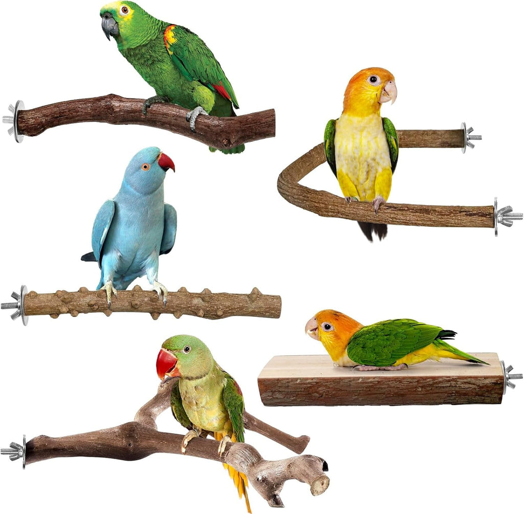 Natural wood bird perch set with multiple branch-style perches mounted with screws