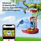 Red hummingbird feeder with solar camera and phone inset for bird AI identification
