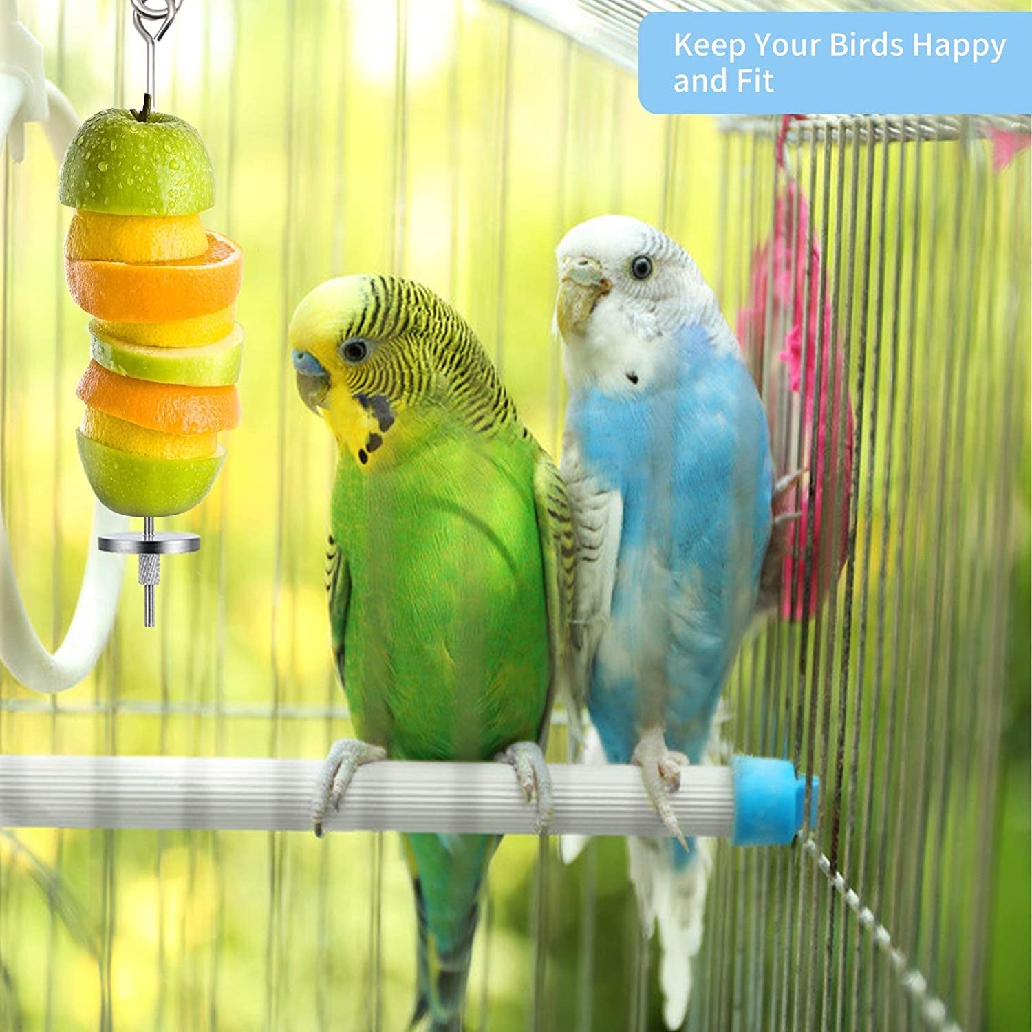 Hanging bird feeder skewers with fruit holders and small parrots in a cage