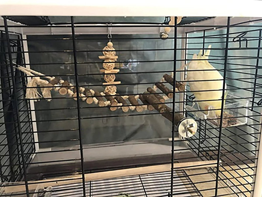 Birdcage view with hanging natural wood swing and ladder perch toy