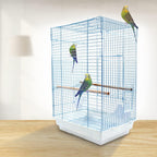 White wire bird cage with two perches and front door, standing on base tray