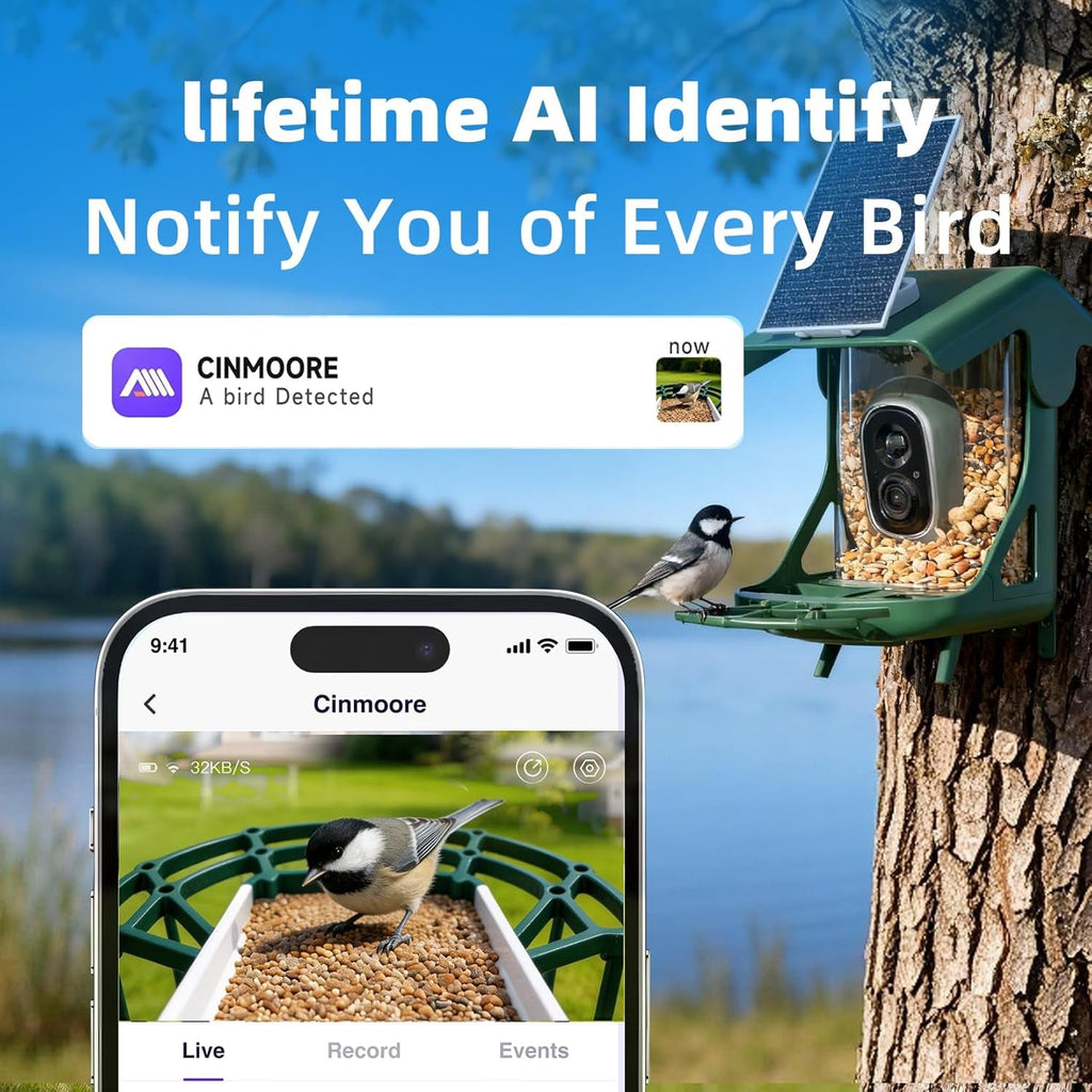 Green bird feeder camera on a tree with smartphone showing live feeder video