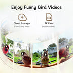 Bird feeder camera promotional view with phone video and cloud storage icons