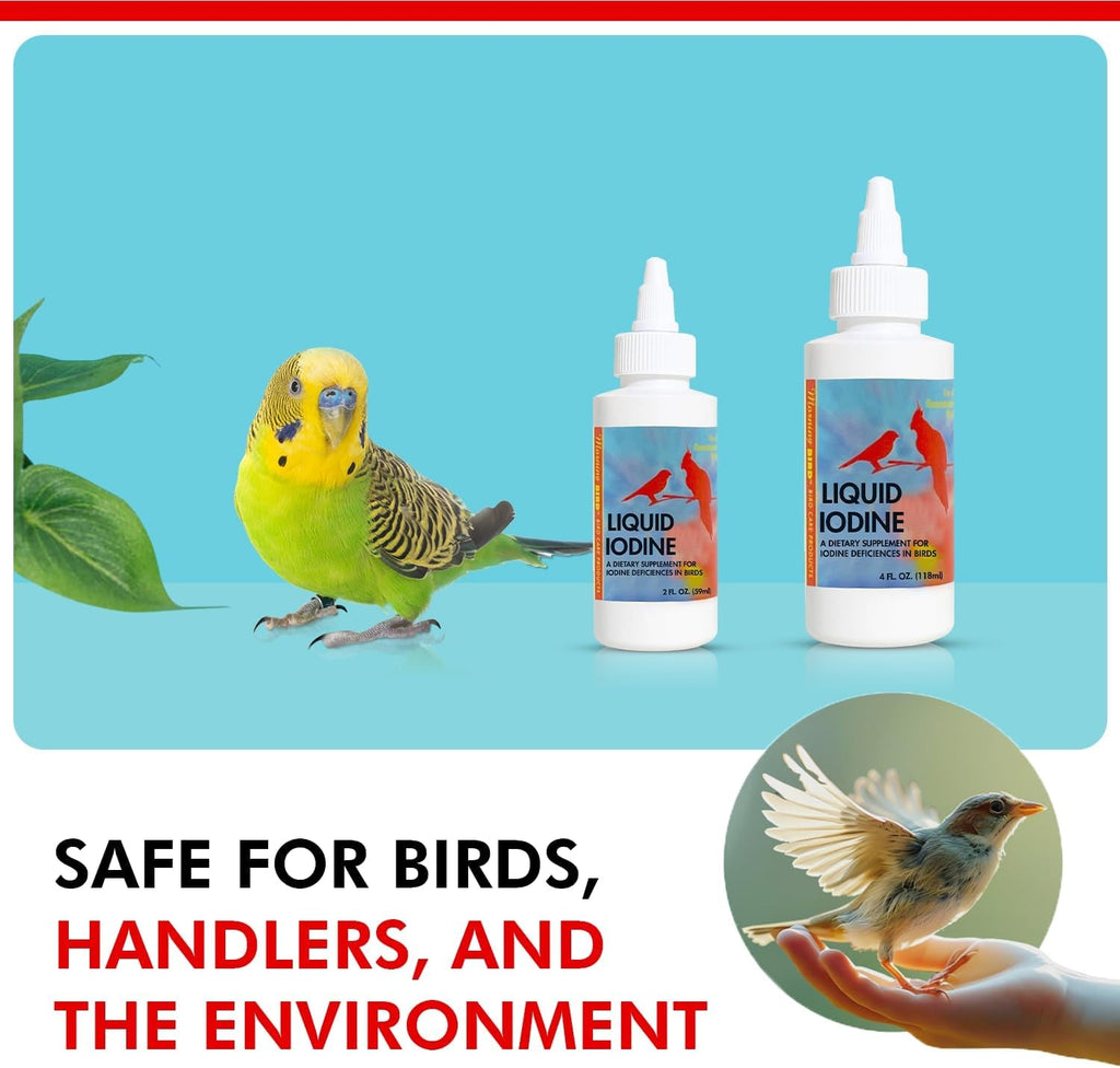 Liquid iodine supplement bottle set with droppers, shown with a small yellow bird