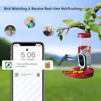 Red hummingbird feeder with solar camera beside a phone showing bird notifications