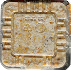 Square wild bird suet cake in plastic tray, textured golden-brown surface