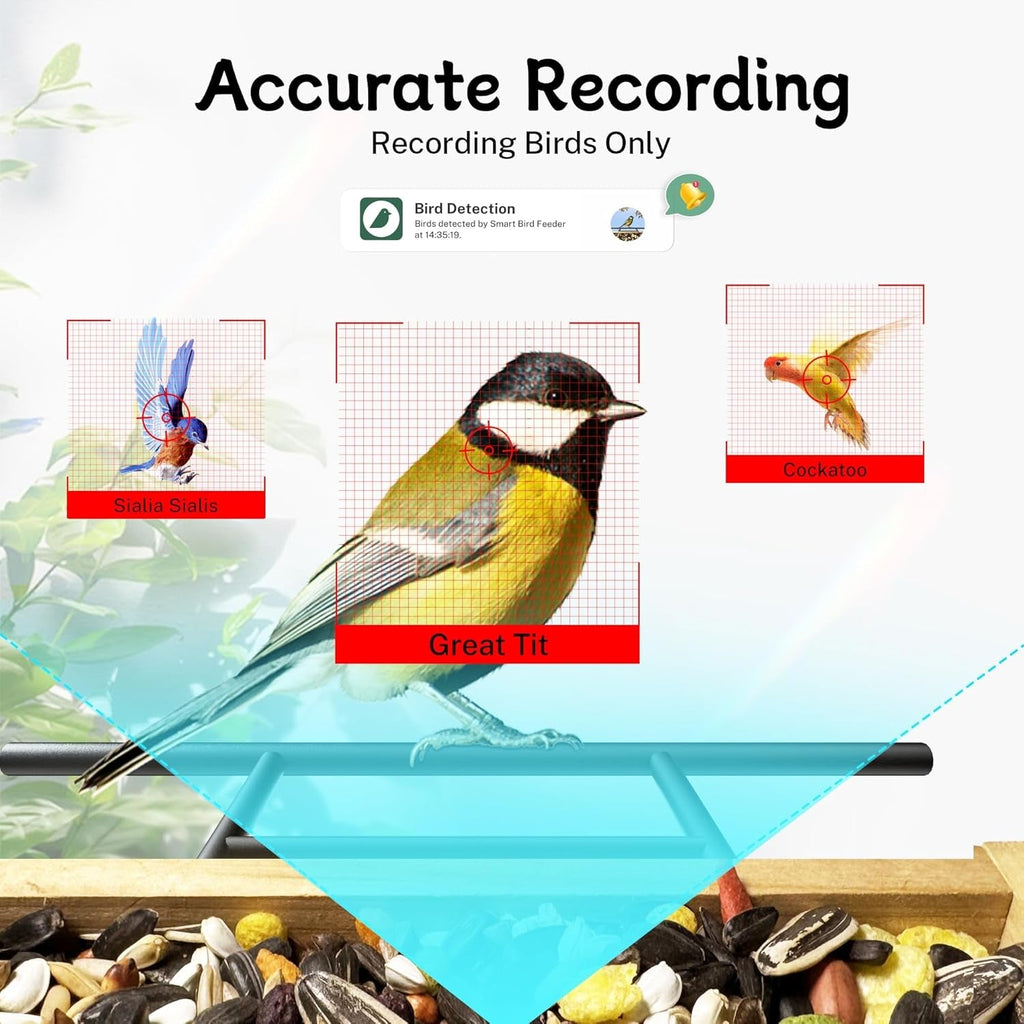 Bird feeder camera with on-screen bird detection graphics and detection labels