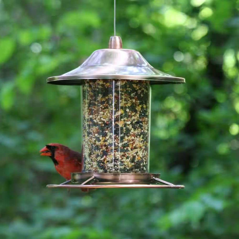 Panorama bird feeder with clear seed tube, copper-look metal roof and base, hanging