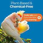 Cockatiel on a branch with plant-based chemical-free bird-safe care callout