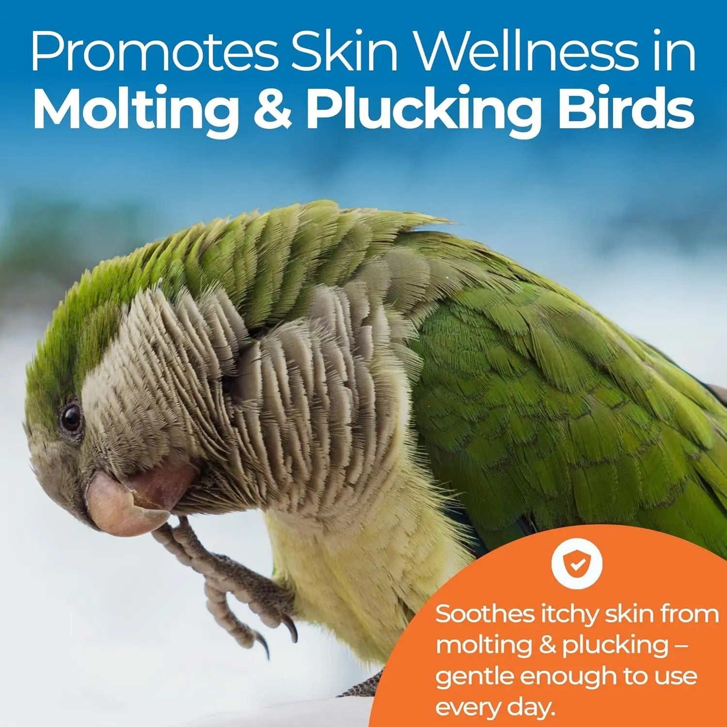 Green parrot with soothing itchy-skin care graphic for molting and plucking