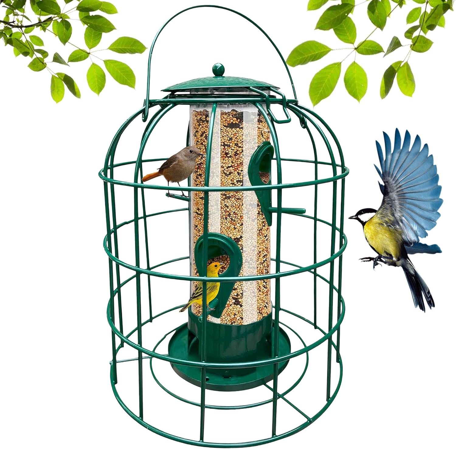 Green caged tube bird feeder with four feeding ports and dome top
