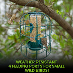 Green caged tube bird feeder with seed filling ports and metal safety cage
