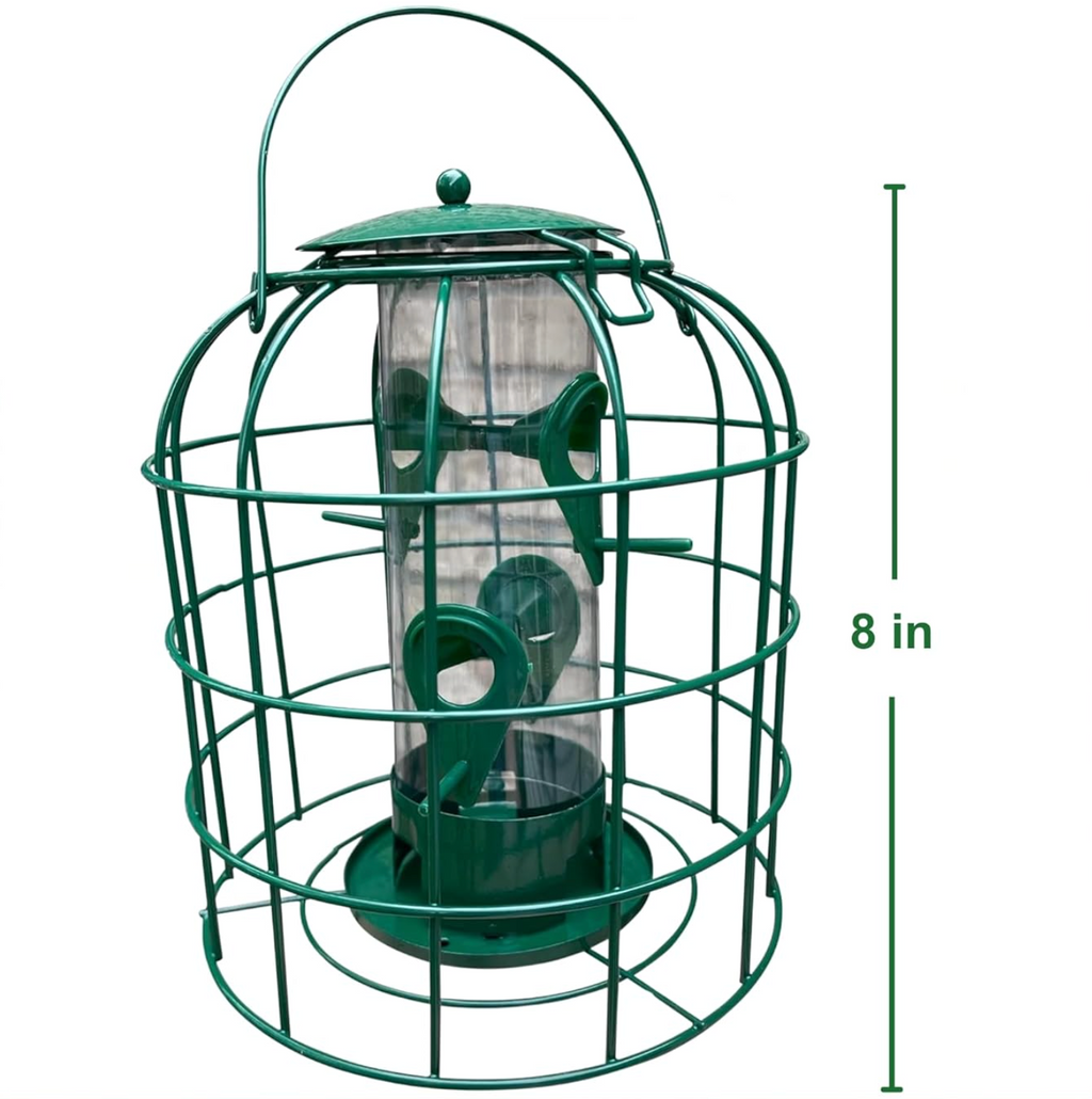 Green caged tube bird feeder with dome top and metal cage, 8 in tall