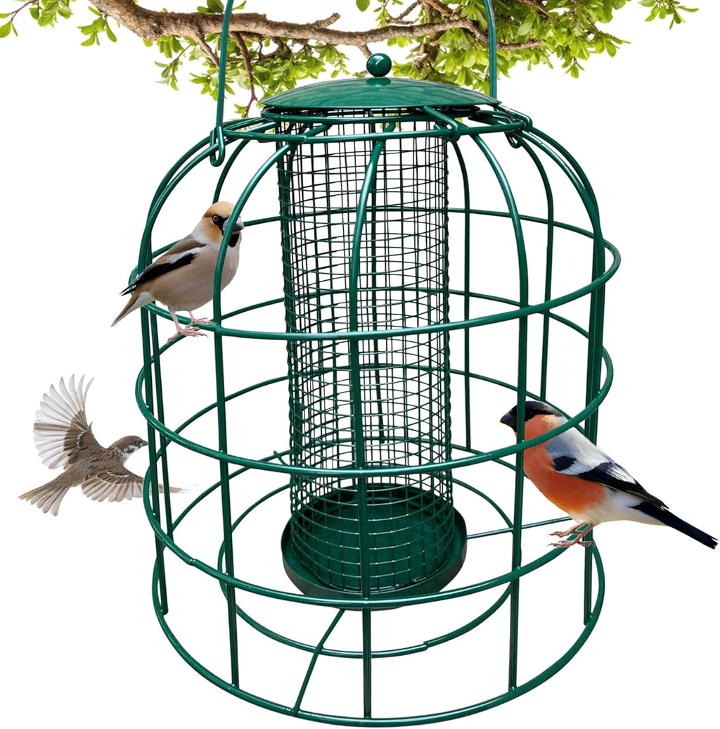 Green wire cage mesh bird feeder with perches and multiple small birds