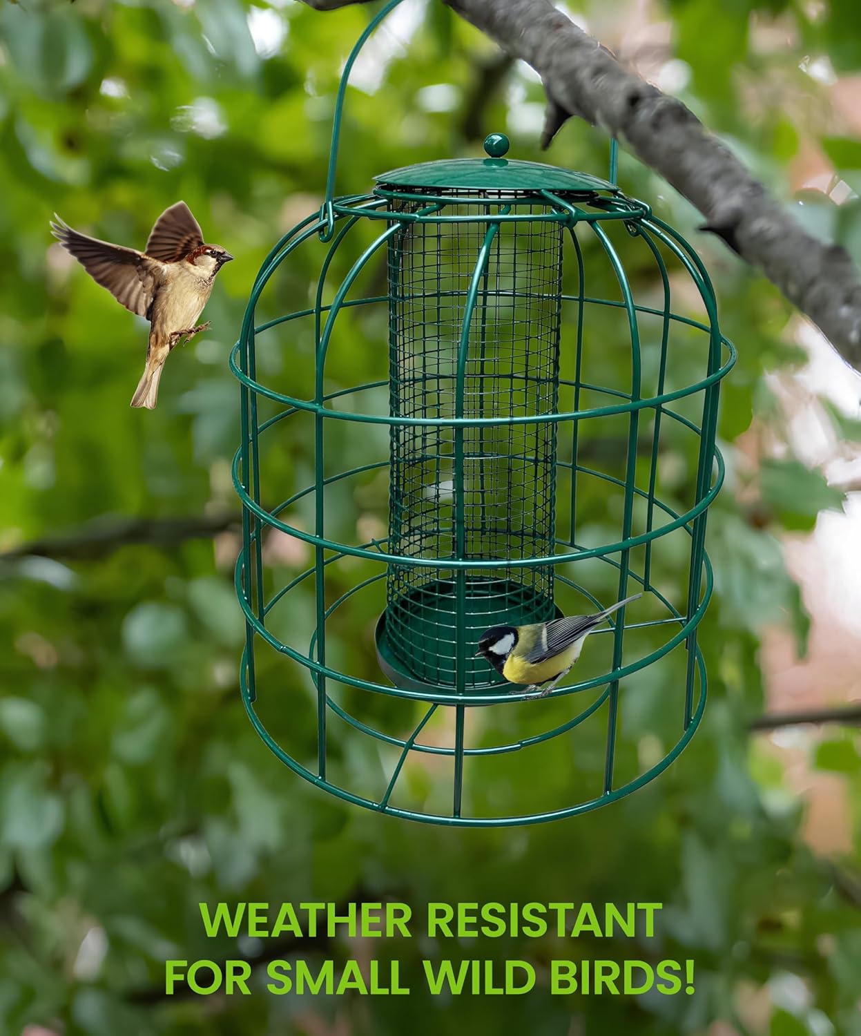 Green mesh caged bird feeder with top cap and small birds on the wire