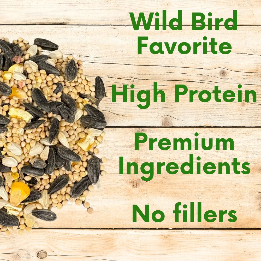 Assorted bird seed grains on wood with colorful bird and text-free ingredient focus