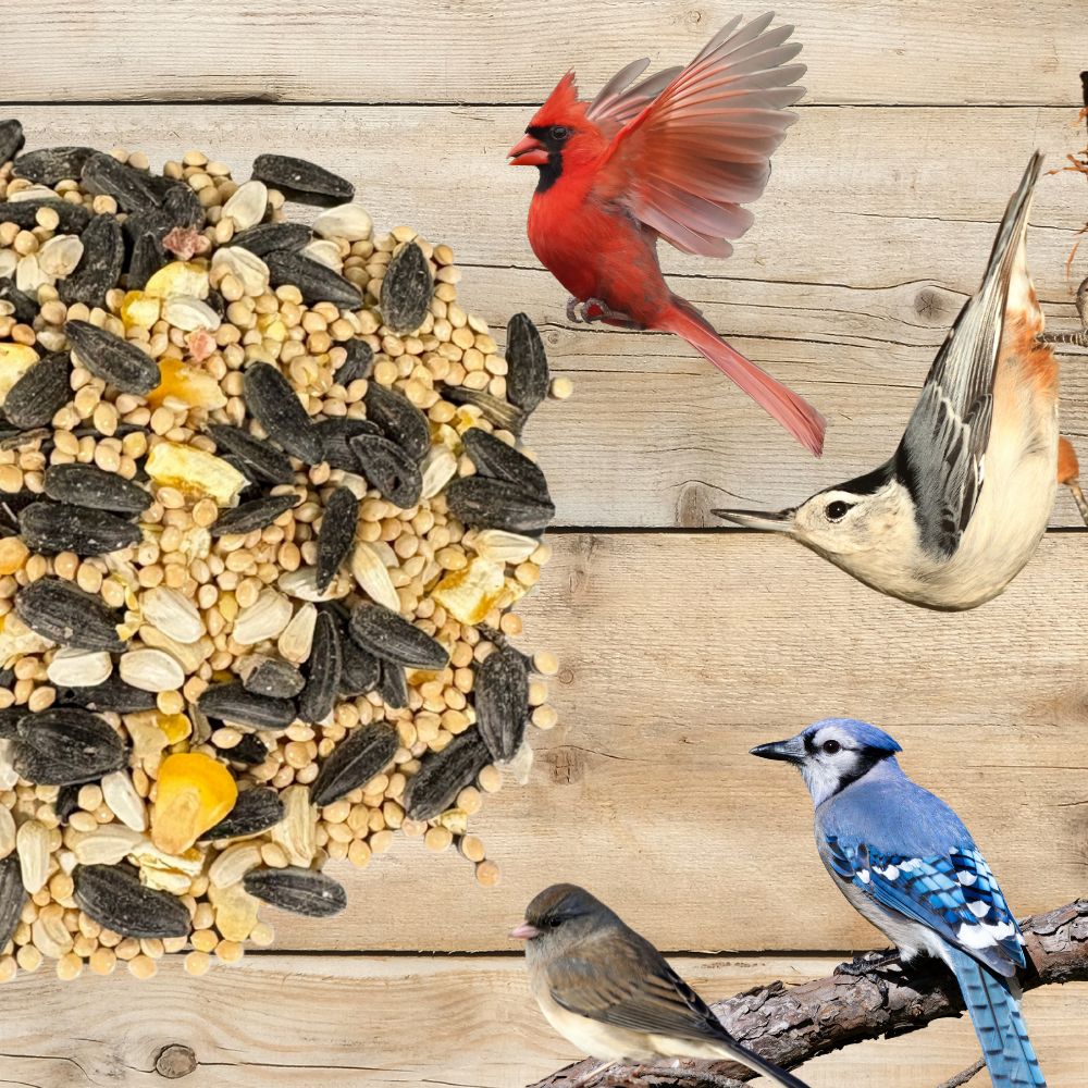 Birds feeding on mixed sunflower and seed kernels on a wooden board