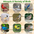 Bird species infographic for seed blend with cardinals, nuthatches, jays, chickadees
