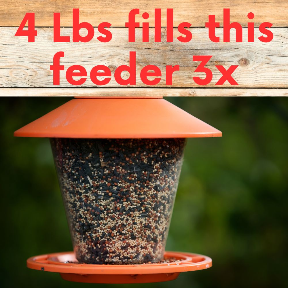 Orange tube bird feeder filled with mixed wild bird seed