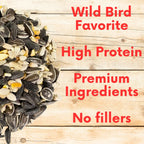 Seed mix pile for wild birds, high protein, premium ingredients, no fillers