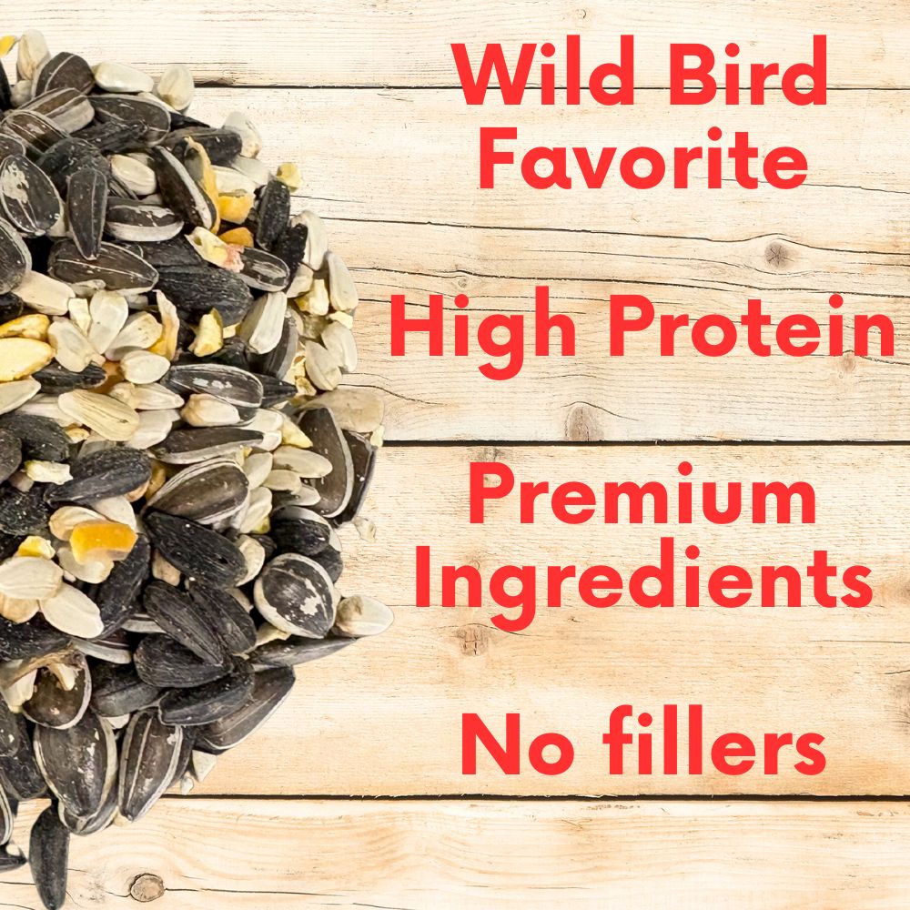 Seed mix pile for wild birds, high protein, premium ingredients, no fillers
