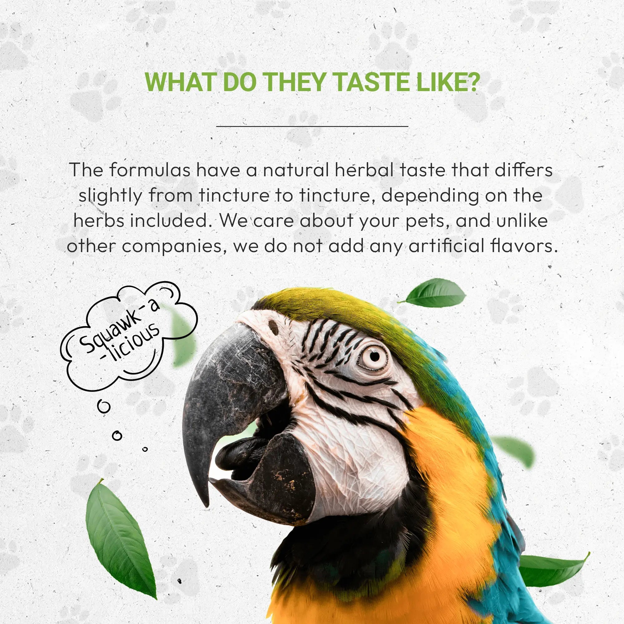 Bird immune support supplement card with macaw head and flavor taste graphic