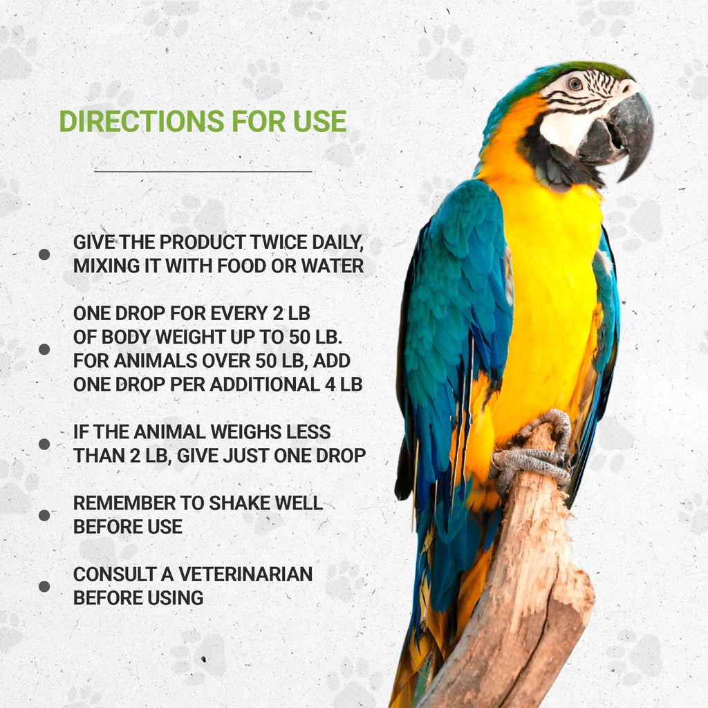 Bird respiratory supplement directions for use with colorful parrot illustration