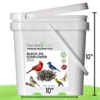 White bucket container labeled black oil sunflower seed with handle