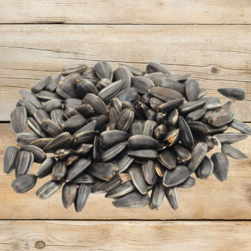 Pile of black oil sunflower seeds in the shell on a wooden surface